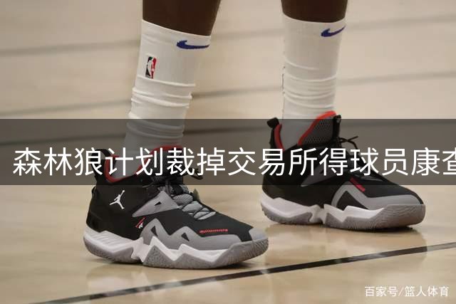 森林狼计划裁掉交易所得球员康查尔