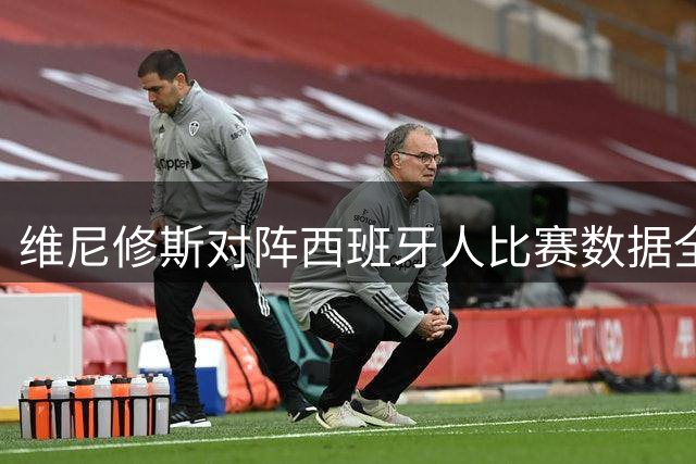 维尼修斯对阵西班牙人比赛数据全面解析