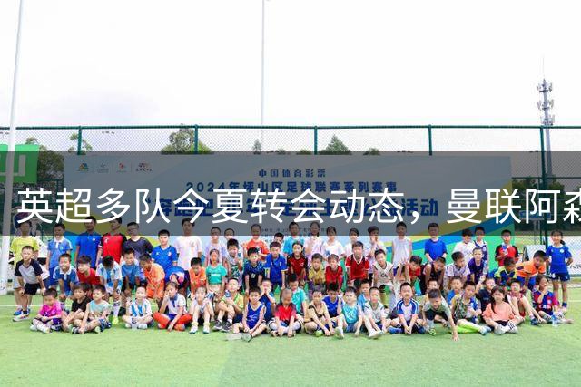 英超多队今夏转会动态，曼联阿森纳热刺各有动作
